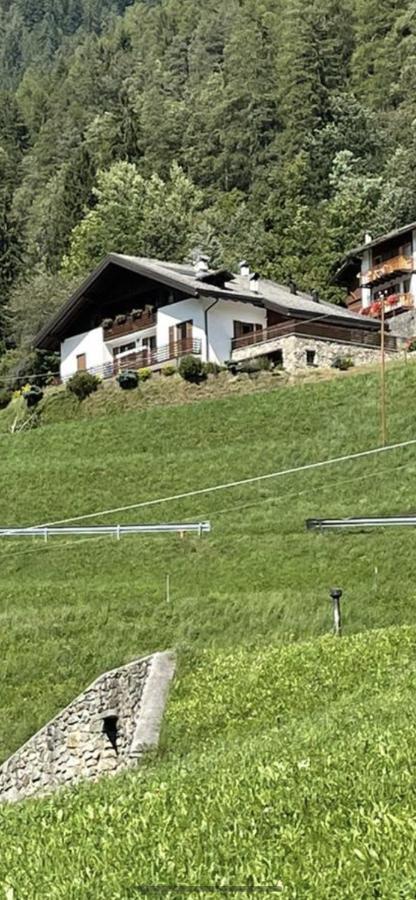 Villetta Sulle Dolomiti Pracorno di Rabbi Kültér fotó